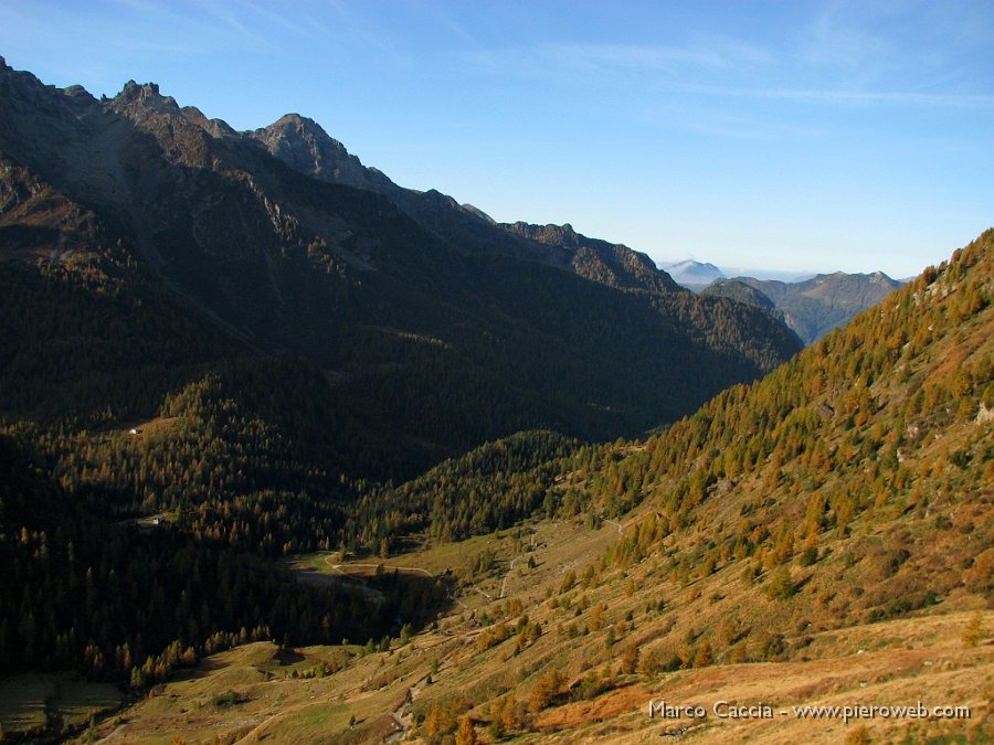 02_Autunno salendo al Passo Venina.JPG